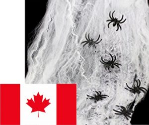 A picture of a spider web with fake spiders with a Canadian flag to show that it is the Canadian Amazon link