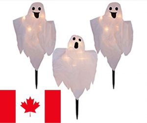 A picture of ghosts on lighted stakes as pathway markers as a halloween decoration with a Canadian flag to show that it is the Canadian Amazon link