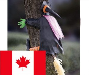 A picture of witch smashed into a tree as a halloween decoration with a Canadian flag to show that it is the Canadian Amazon link