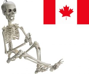 A picture of a posable skeleton with a Canadian flag to show that it is the Canadian Amazon link