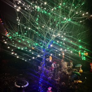 Earth toned Christmas lights done with polar blue lights on a tree trunk and branches done in warm white and green