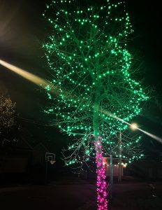 A tall tree lighted in a Christmas princess theme with pink trunk and green branches