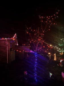 Zesty Christmas tree lighting demonstrated as a polar blue lighted trunk and orange branches